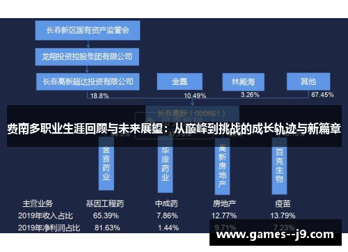 费南多职业生涯回顾与未来展望：从巅峰到挑战的成长轨迹与新篇章